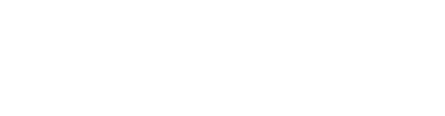Partner 6